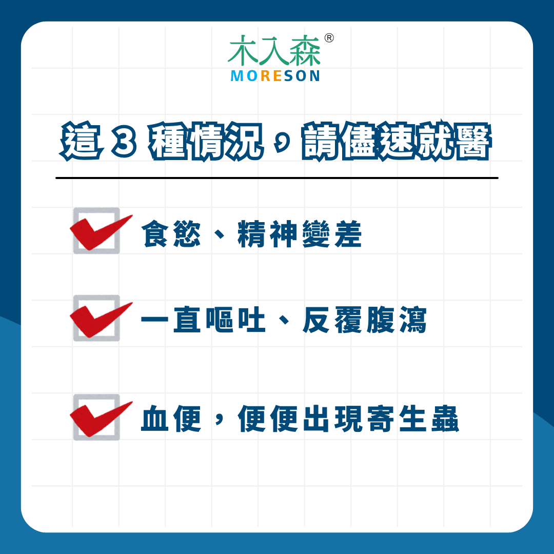 [在線急]貓咪拉肚子怎麼辦？現在要禁食嗎？要看醫生嗎？原來有這六大原因！