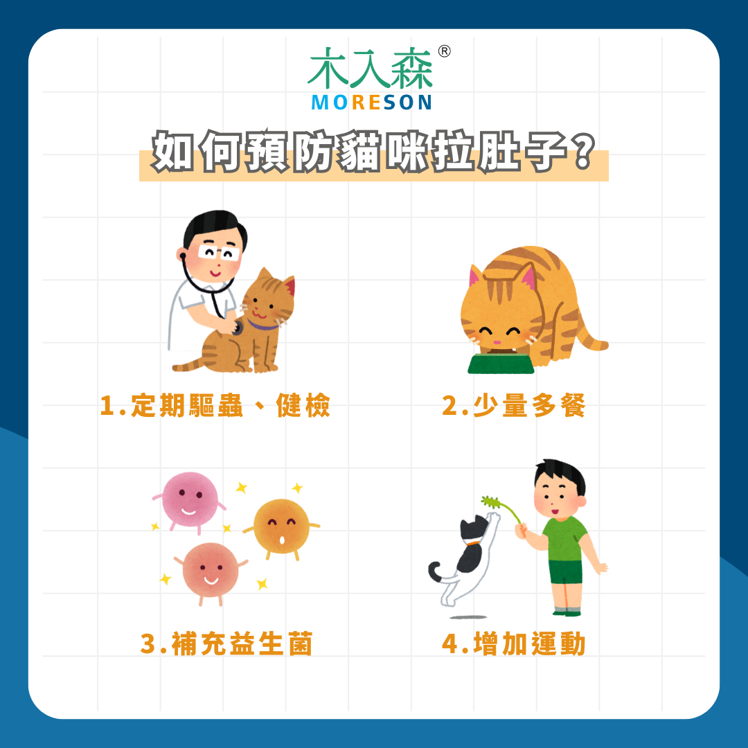 [在線急]貓咪拉肚子怎麼辦？現在要禁食嗎？要看醫生嗎？原來有這六大原因！