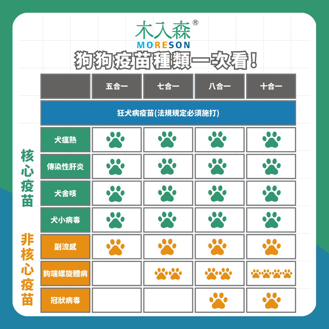 新手飼主必看！狗狗疫苗順序、種類與費用懶人包，你不能不知到的關鍵時程與注意事項！