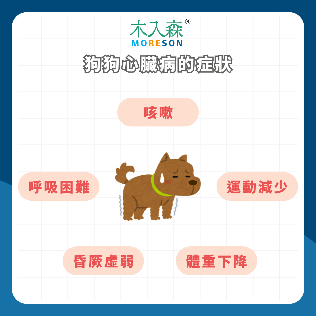 狗狗心臟病完整指南：症狀、分級與壽命影響