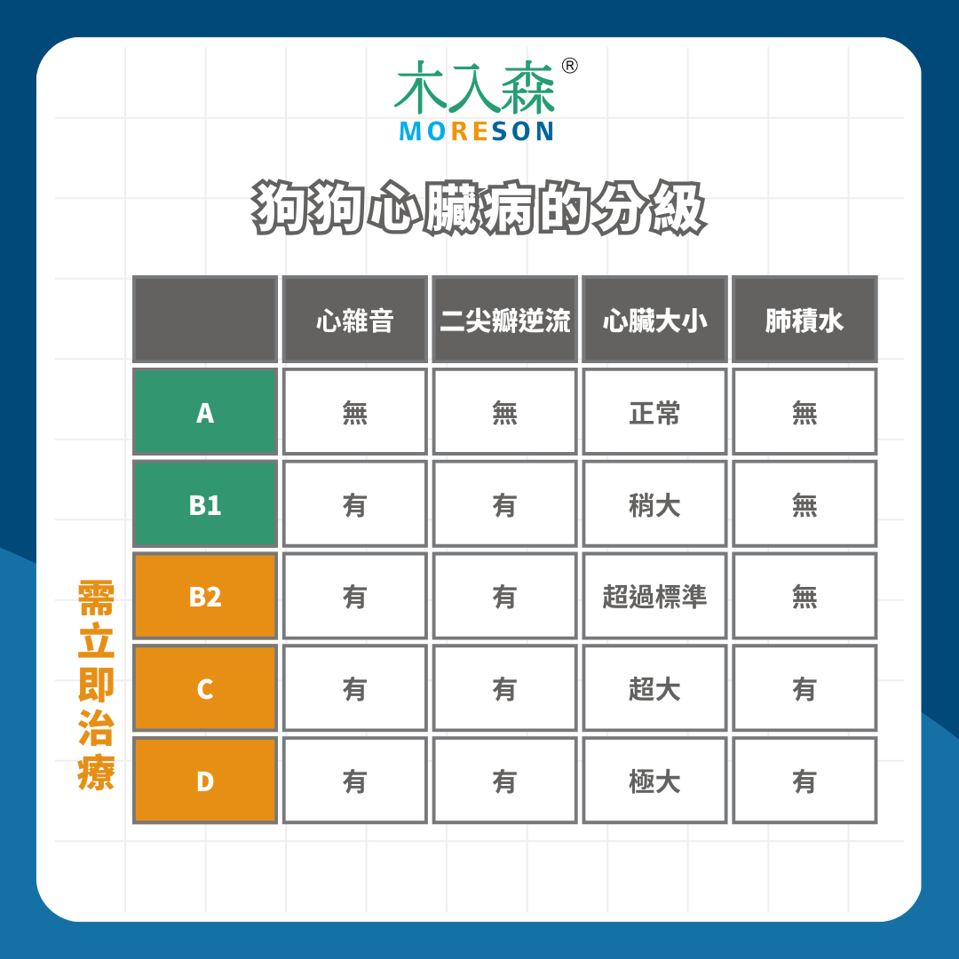 狗狗心臟病完整指南：症狀、分級與壽命影響