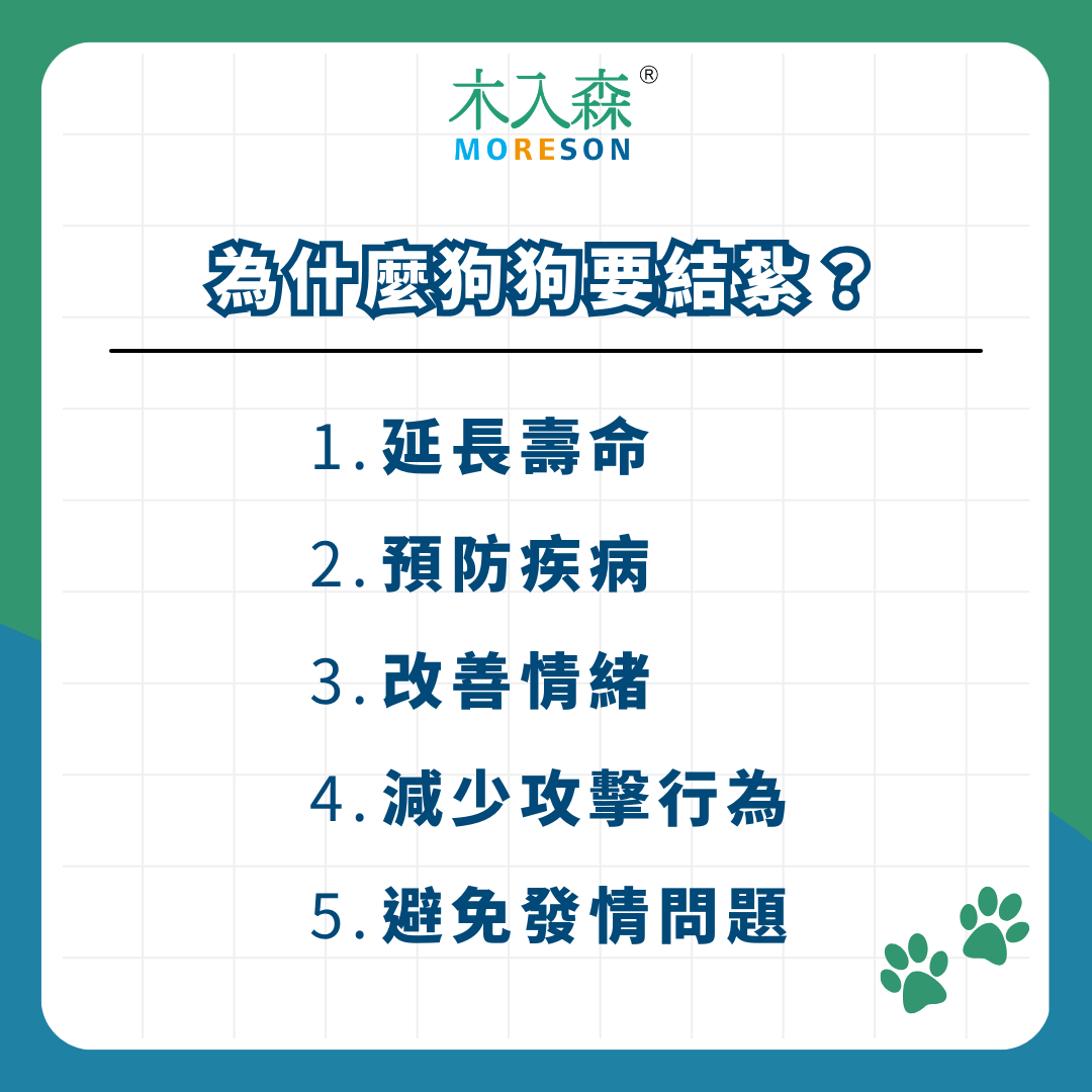 狗狗結紮完整指南：公母犬結紮費用、年紀、補助