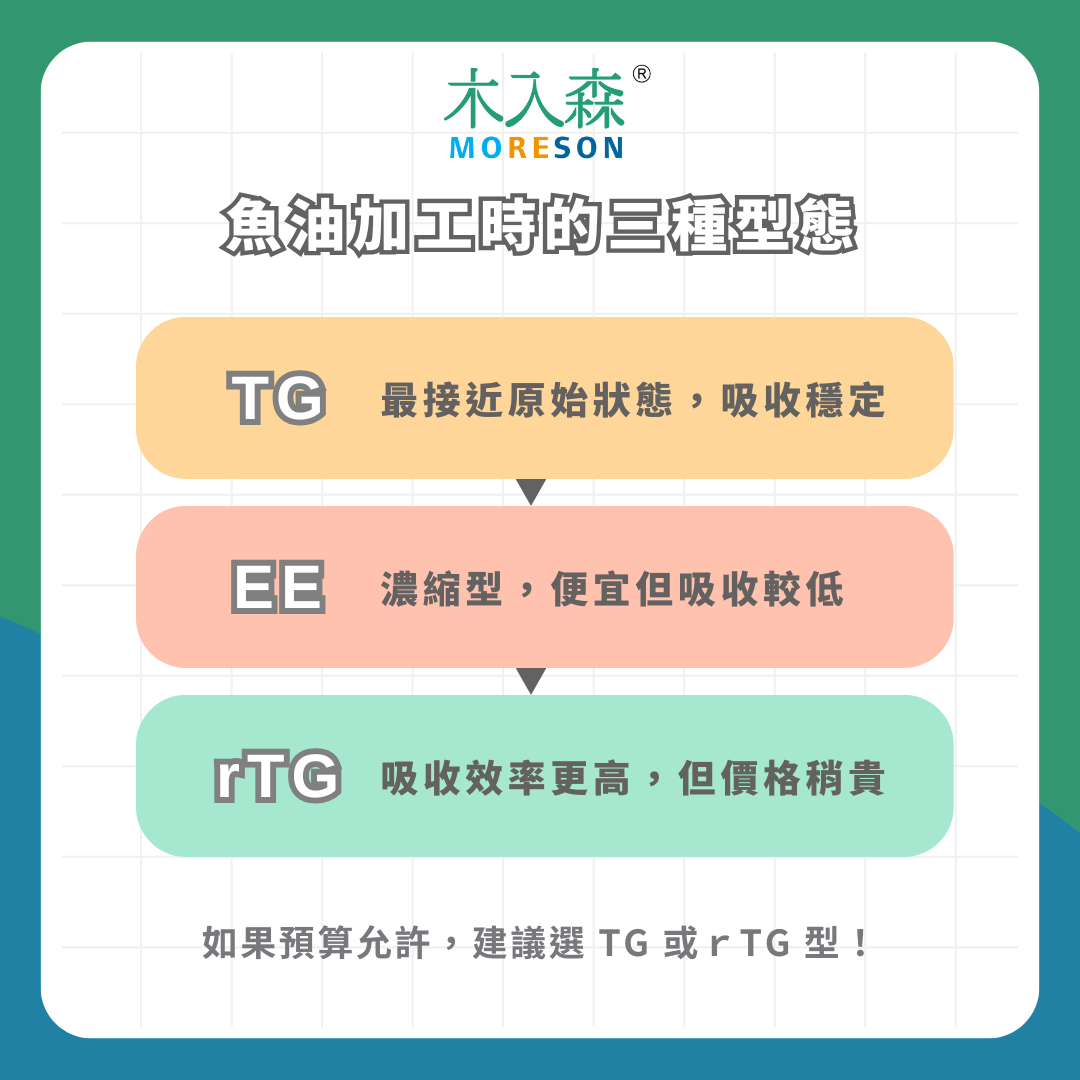 貓奴必讀！完整魚油解析，專家告訴你五大挑選指南、貓咪魚油推薦品牌！