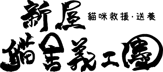 【浪浪志工懶人包】7 個流浪貓狗協助機構，工作內容、申請方式一次看！