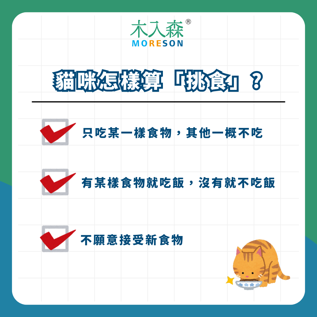 又不吃！貓咪挑食怎麼辦？5 大原因解析，教你 4 招成功攻略惱人挑嘴貓