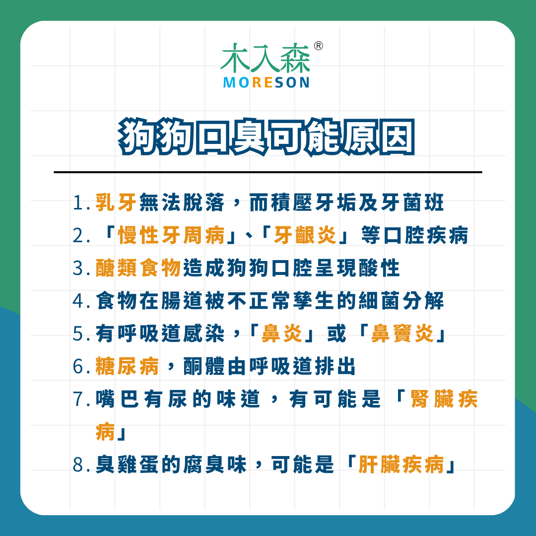 好臭！狗狗為何會口臭呢？狗狗口臭原因與解決方式