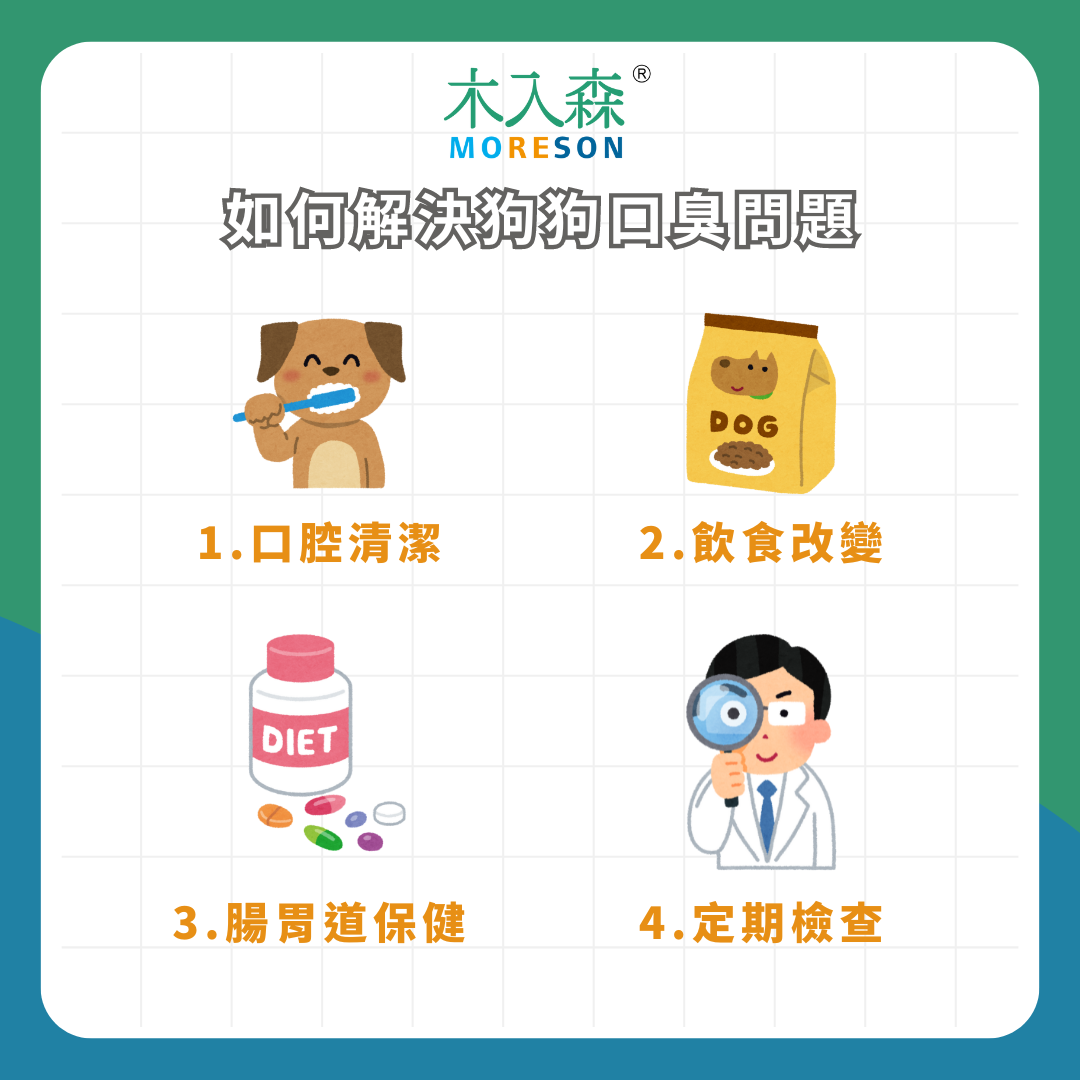 好臭！狗狗為何會口臭呢？狗狗口臭原因與解決方式