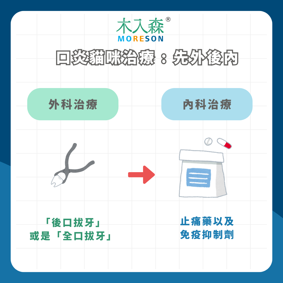 什麼是貓咪口炎？又該如何治療呢？讓獸醫師來告訴你！