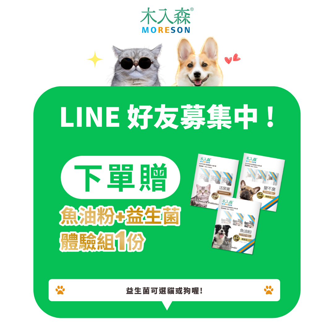 加入LINE好友