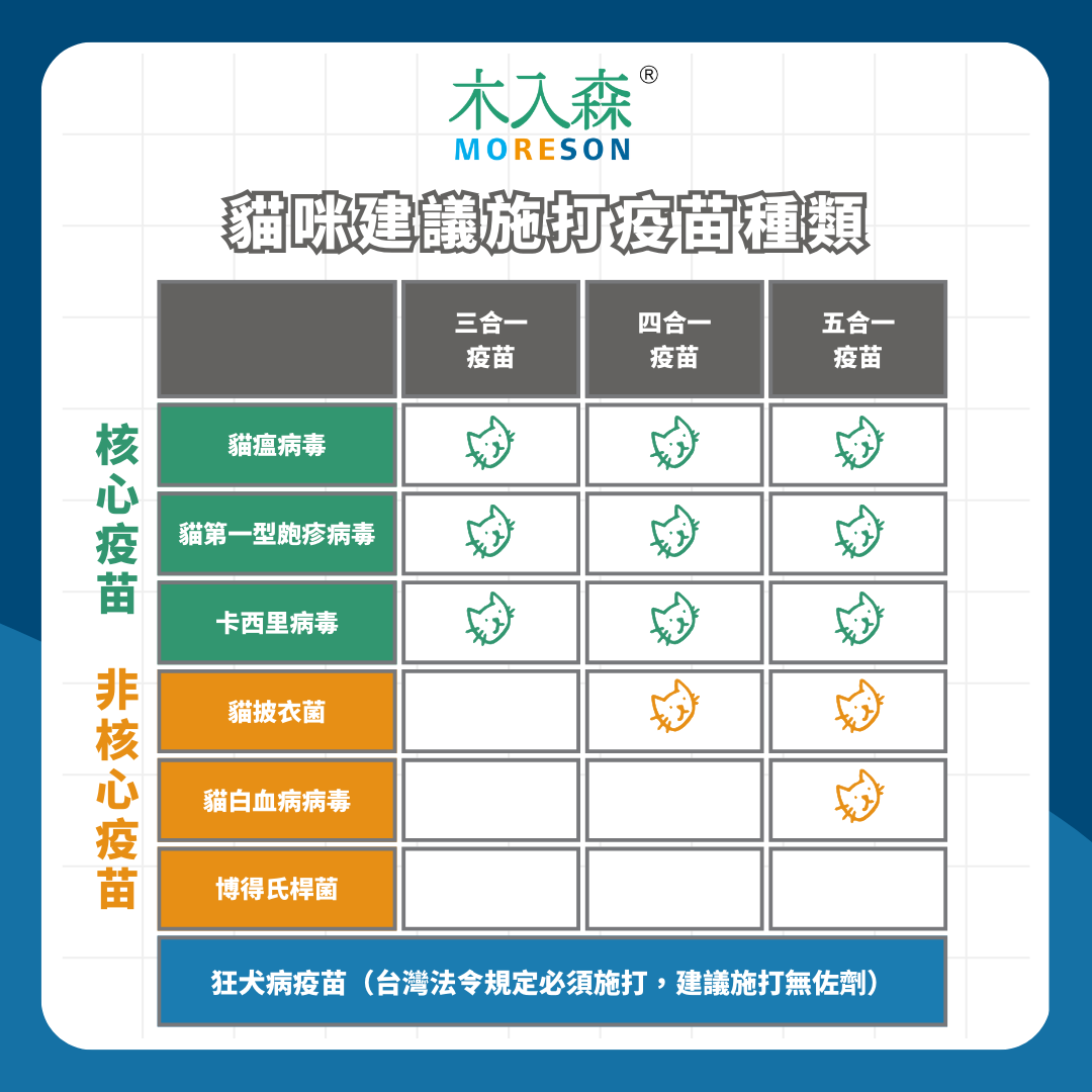 什麼！貓披衣菌會傳染給人？症狀、傳染途徑、治療方式與疫苗