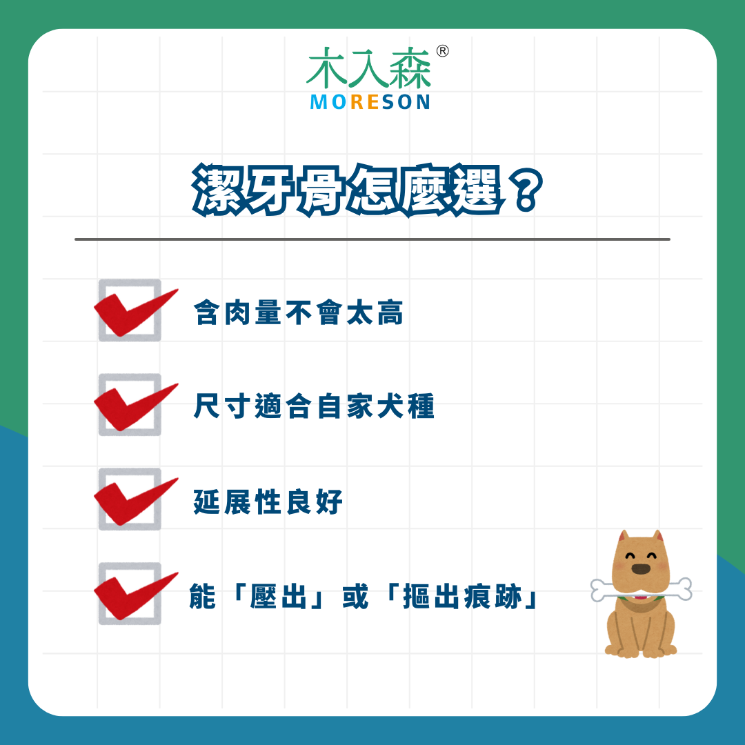 潔牙骨的真相： 如何挑選適合的狗狗潔牙骨？ 注意這 4 個挑選標準！