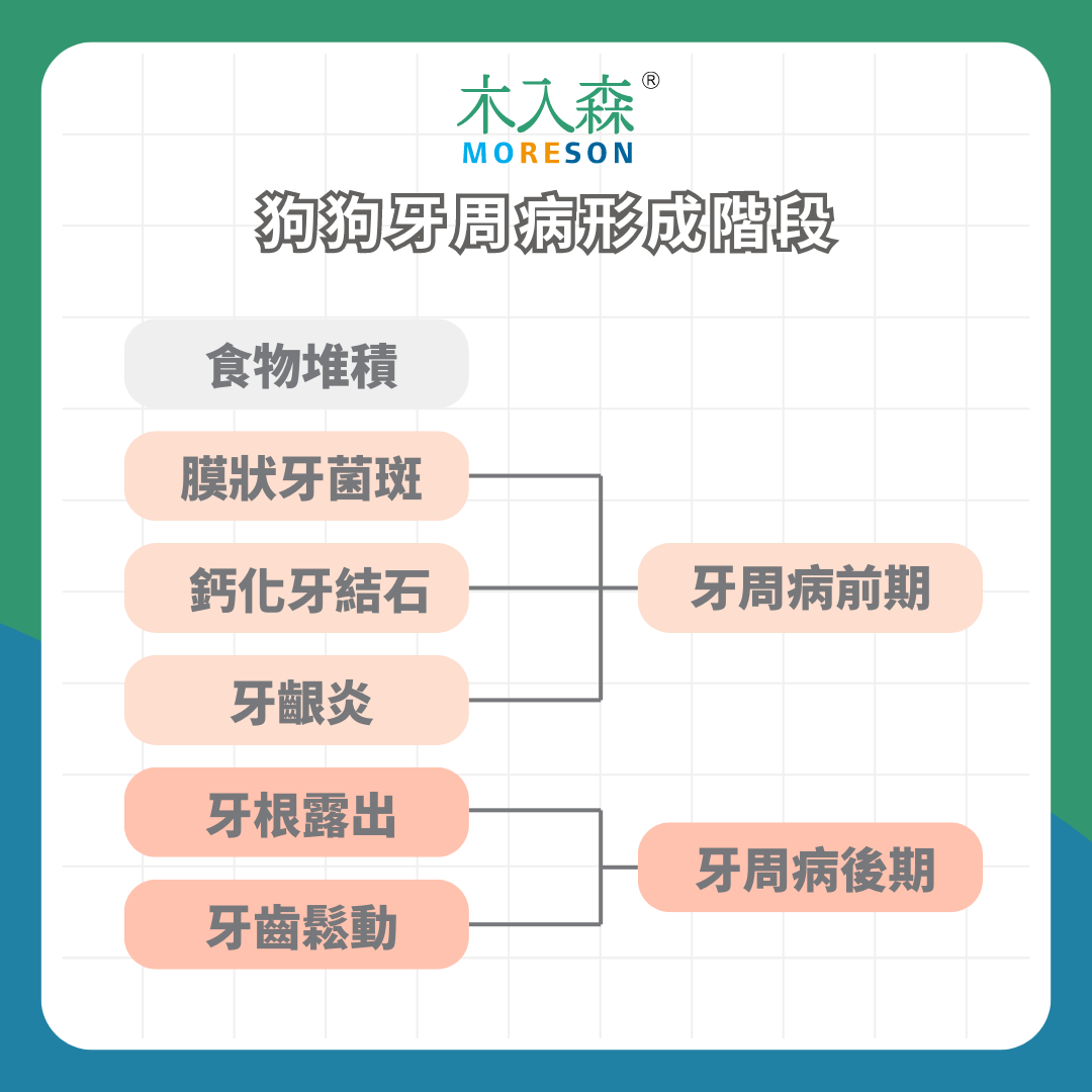 狗狗嘴巴好臭！這四種狗狗竟然是牙周病高危險族群，如何預防狗狗牙周病？