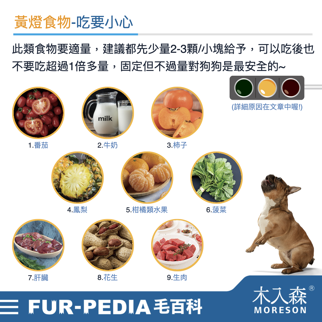 狗狗能吃什麼？不能吃什麼？常見的37種食物大公開！