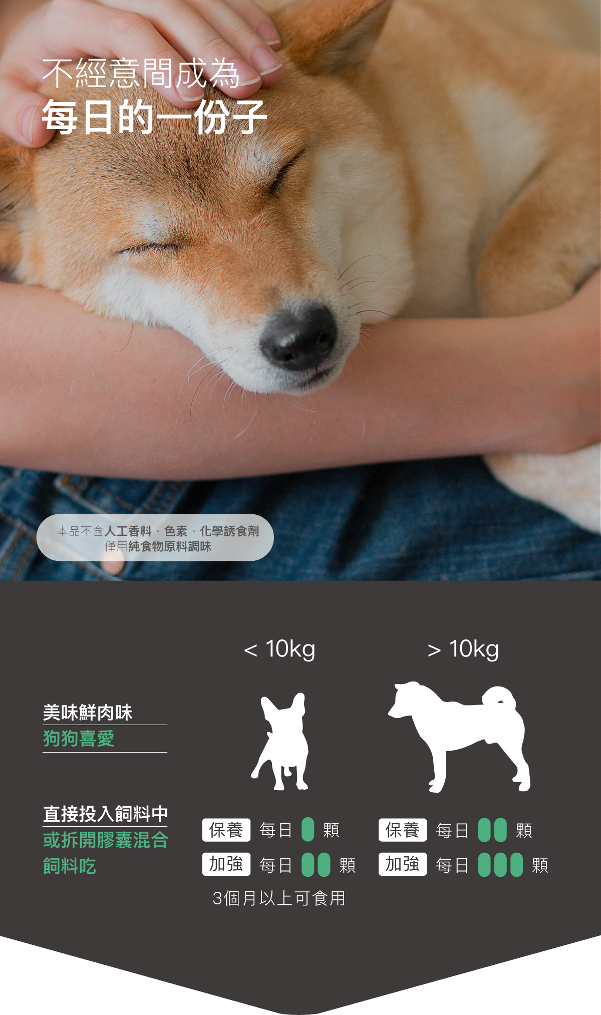 木入森 犬寶膚立好