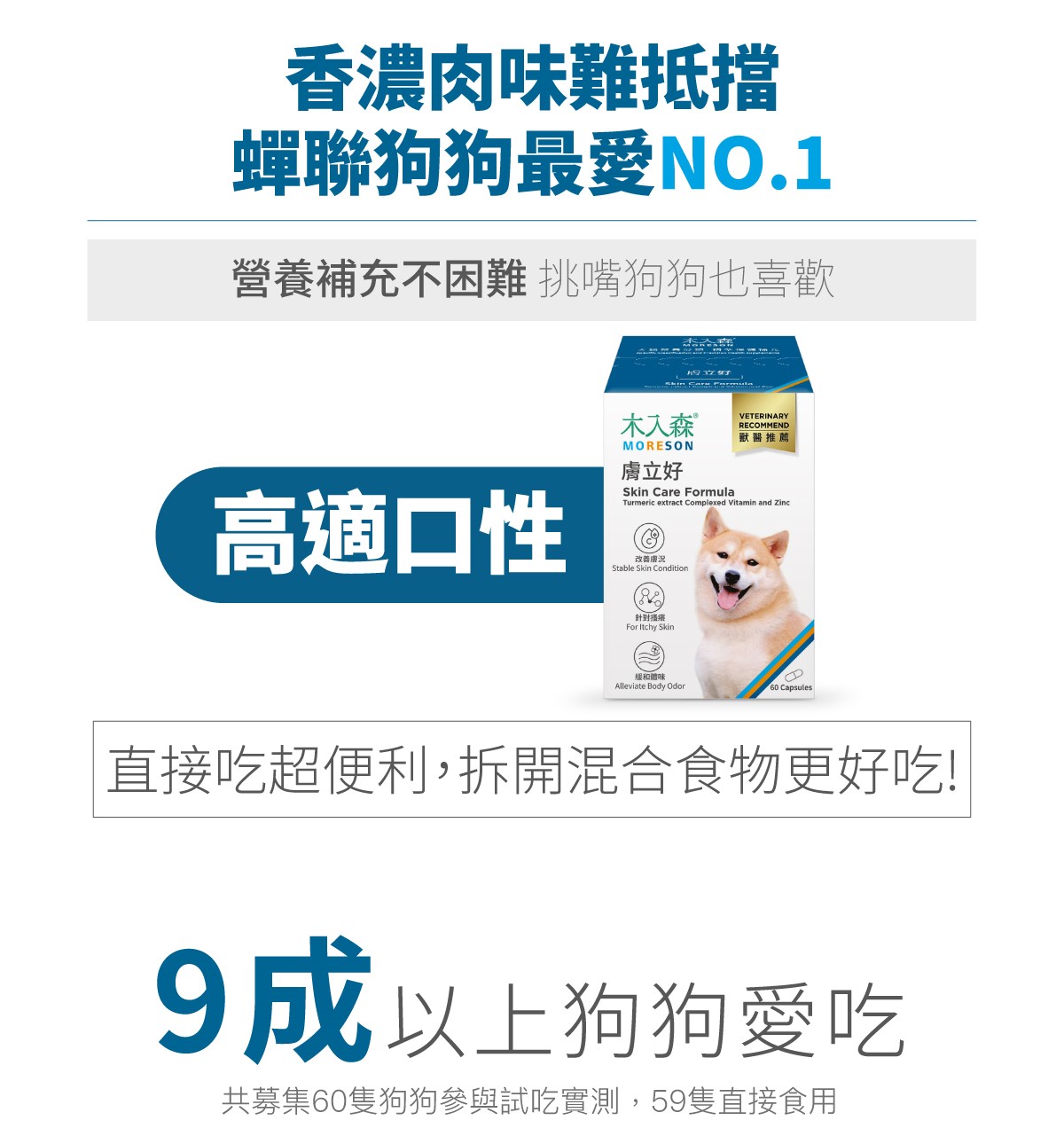 木入森 犬寶膚立好