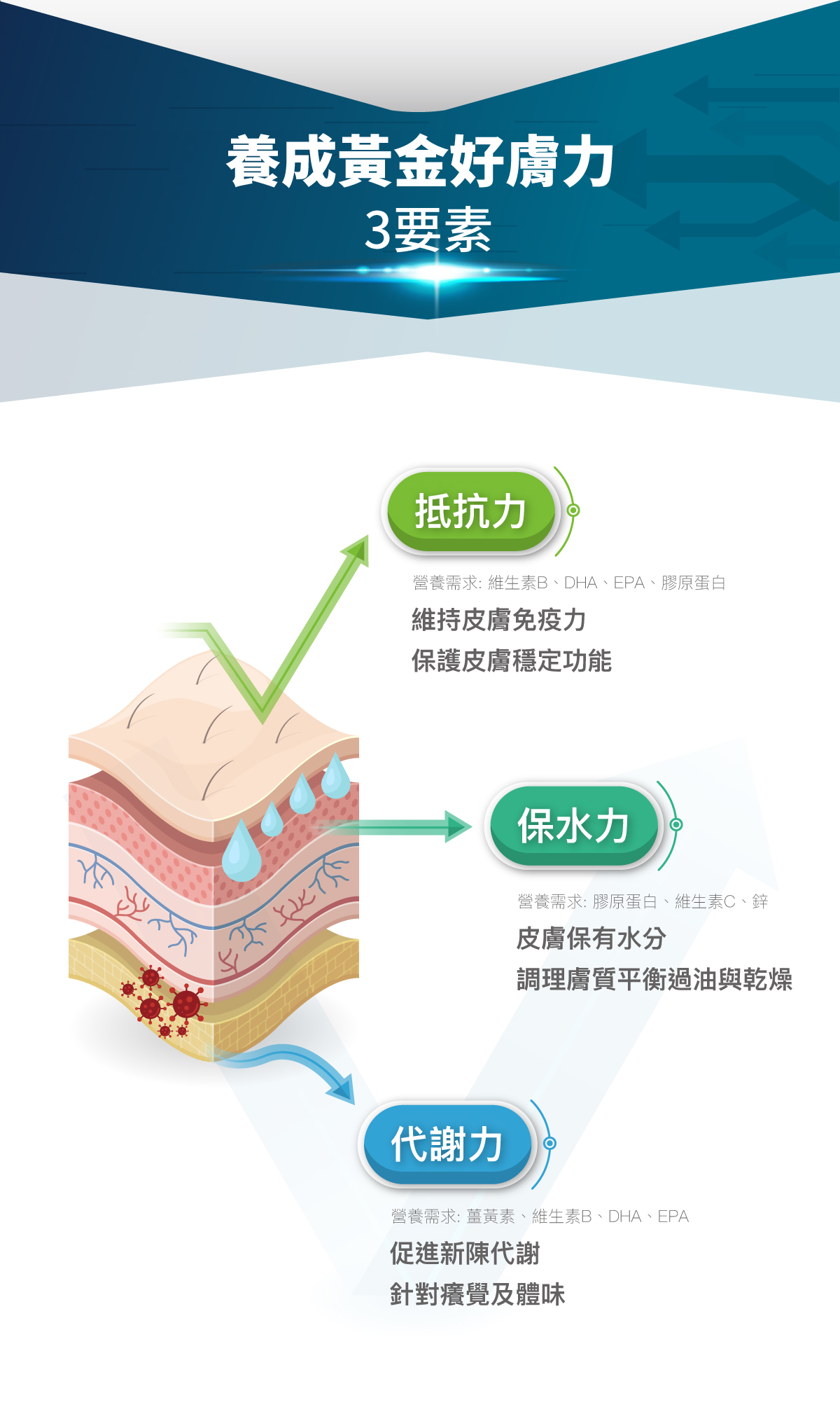 木入森 犬寶膚立好