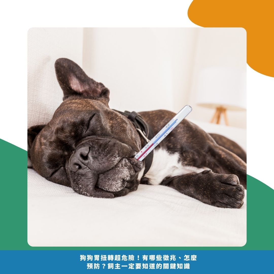發生時會有什麼症狀？怎麼分辨？