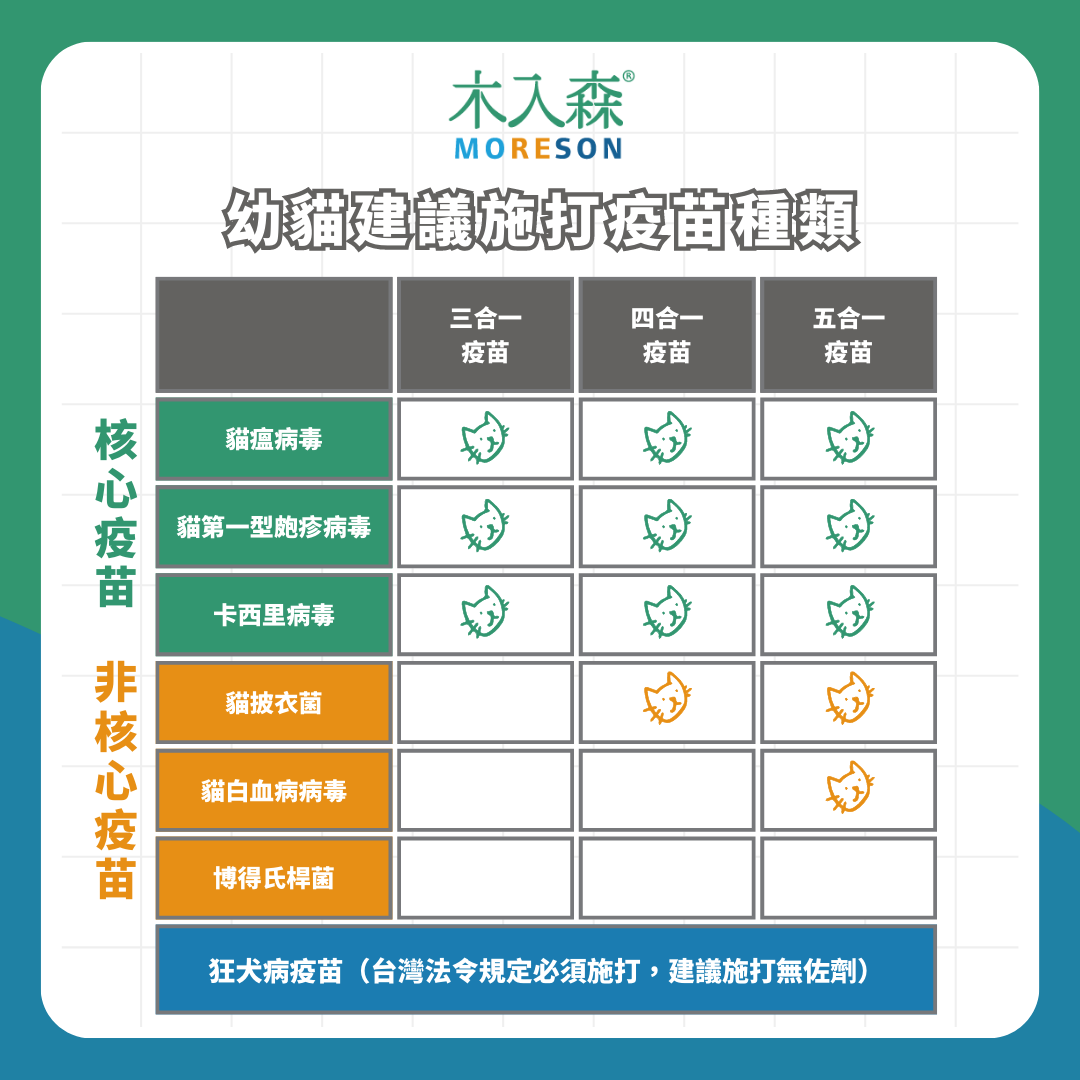 貓咪打噴嚏是正常的嗎！是不是感冒了？教你三種方式，有效緩解貓打噴嚏！