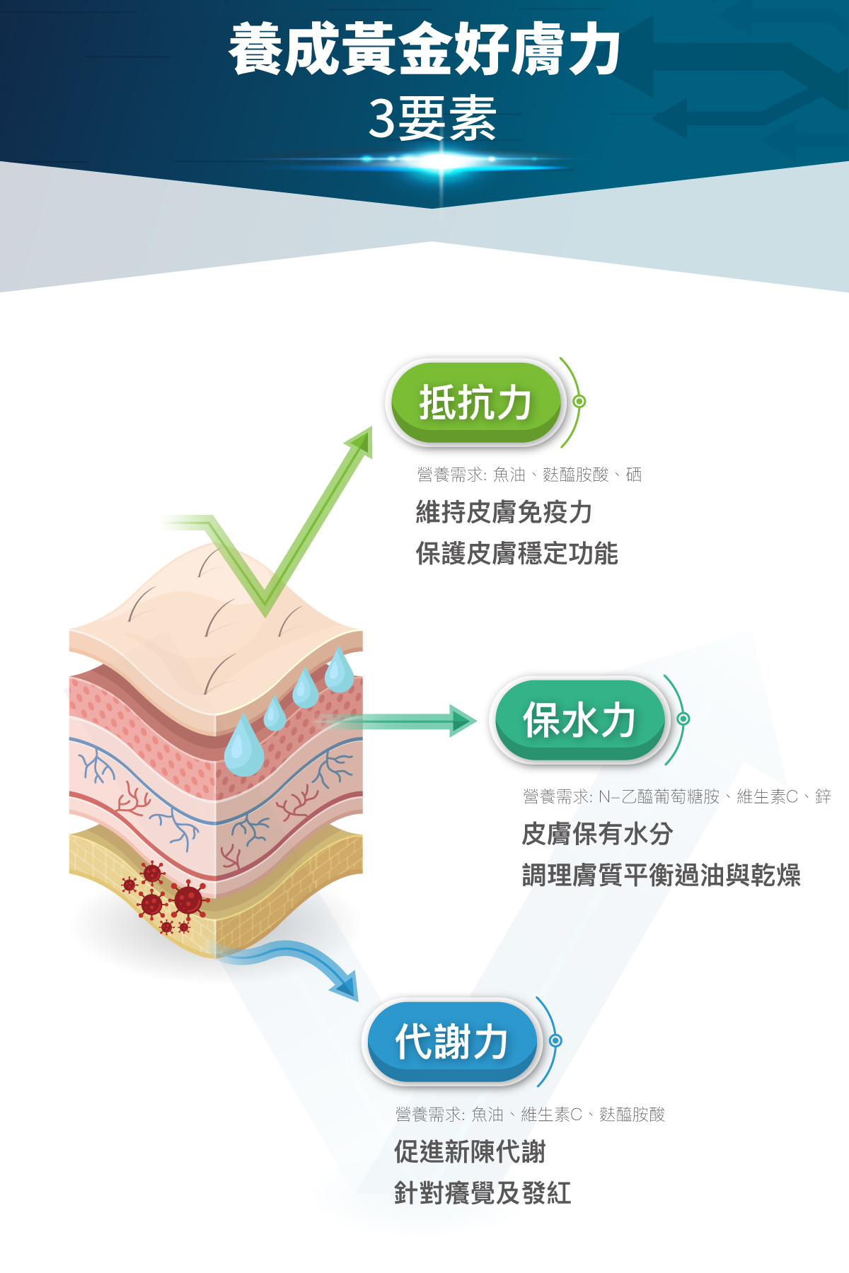 木入森 貓咪膚立好