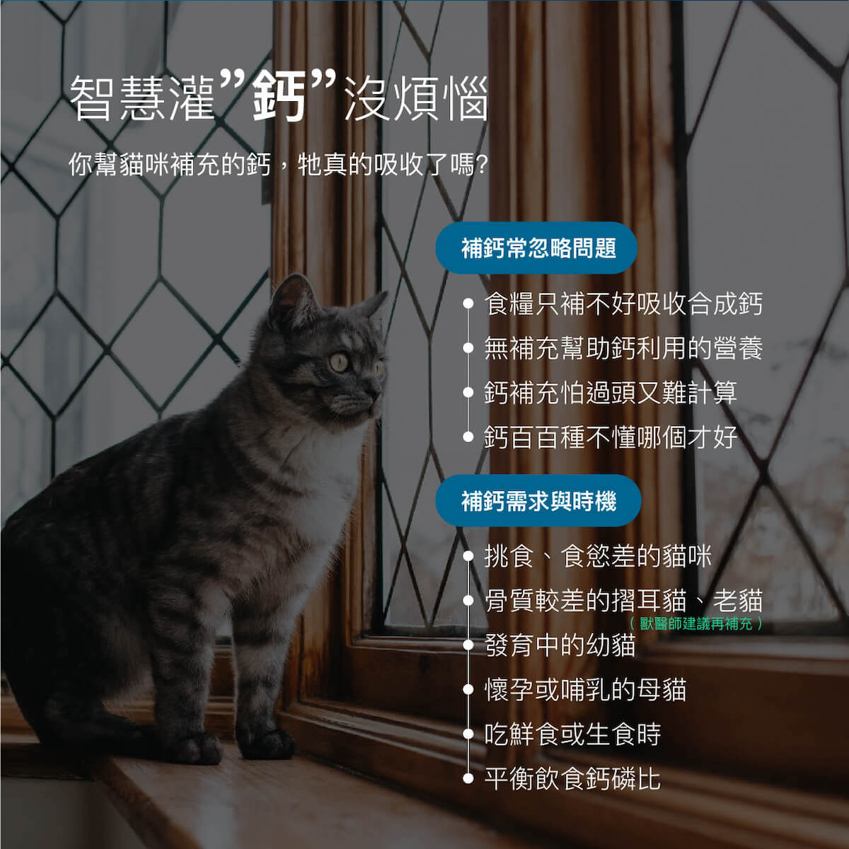 木入森 貓咪D藻鈣 30包｜貓咪補鈣