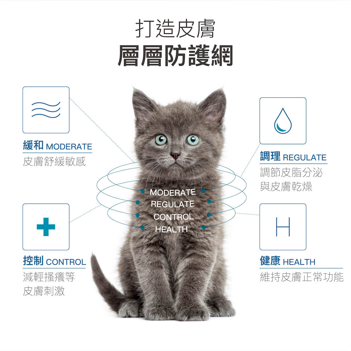 木入森 貓咪膚立好｜貓咪皮膚保健食品
