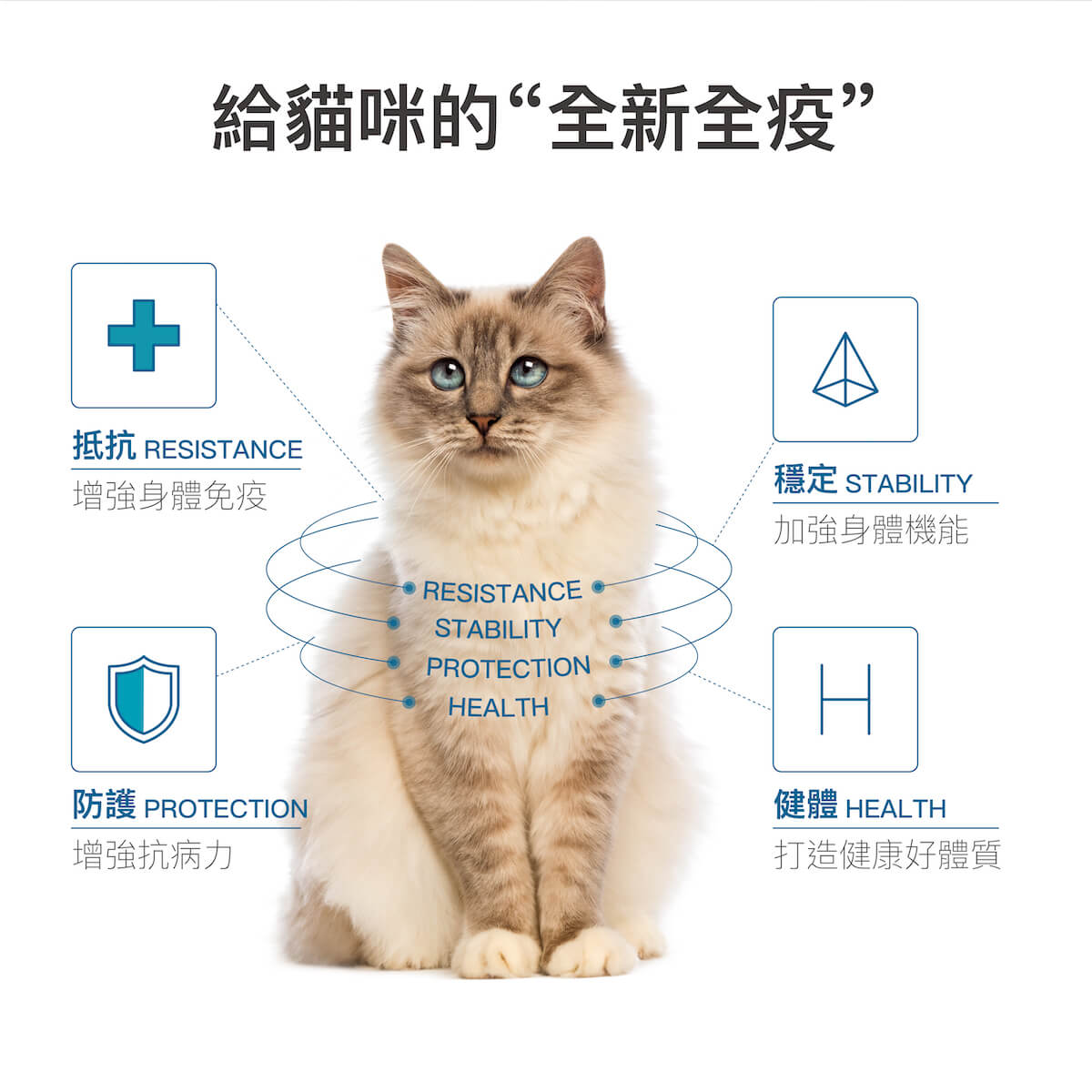 木入森 貓咪護疫升｜離胺酸等六大免疫配方
