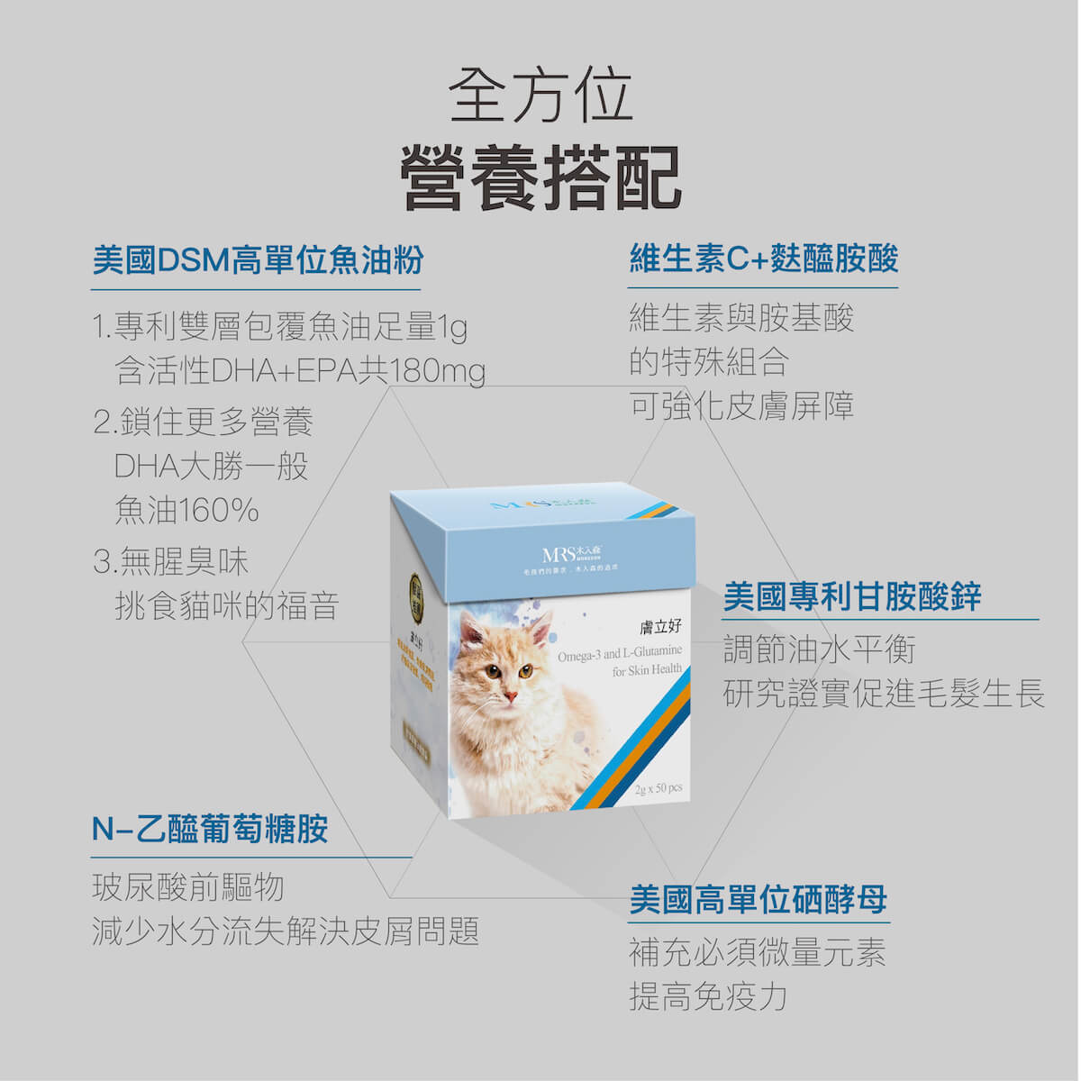 木入森 貓咪膚立好｜貓咪皮膚保健食品