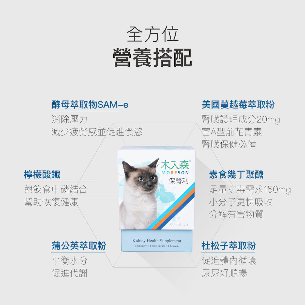 木入森 貓咪保腎利｜貓咪腎臟保健