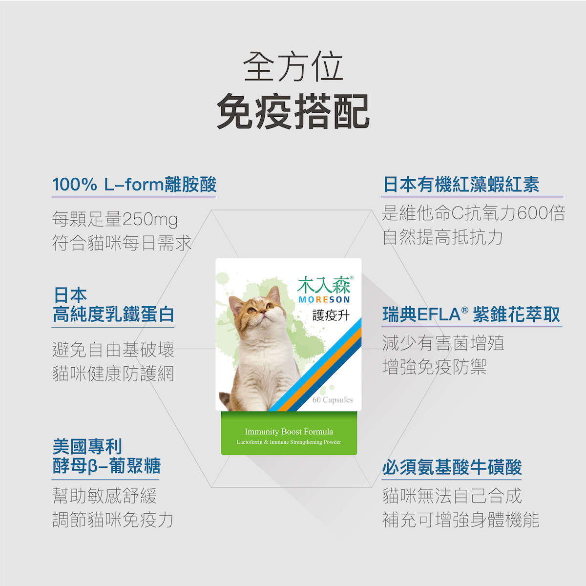 木入森 貓咪護疫升｜離胺酸等六大免疫配方