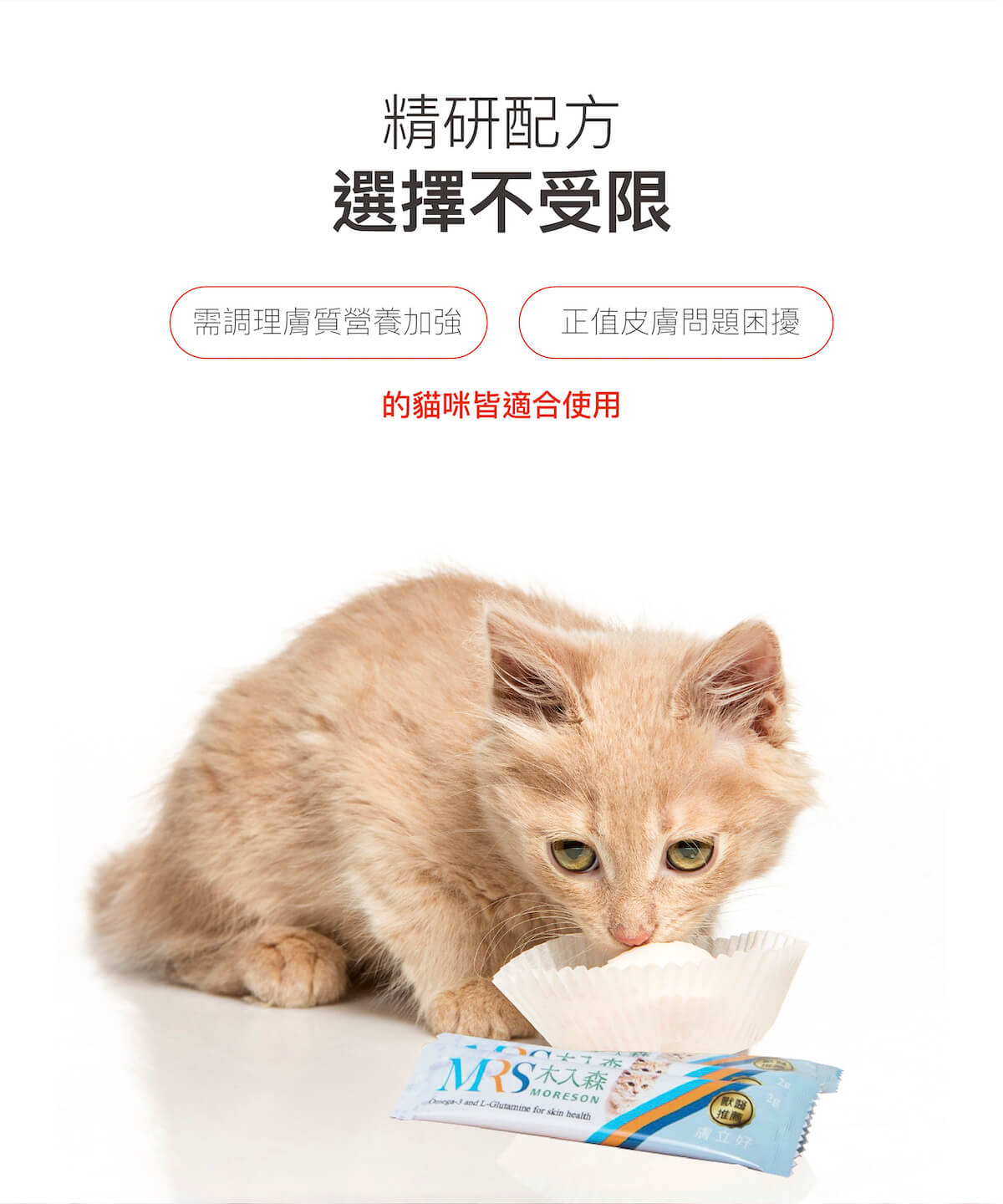 木入森 貓咪膚立好｜貓咪皮膚保健食品