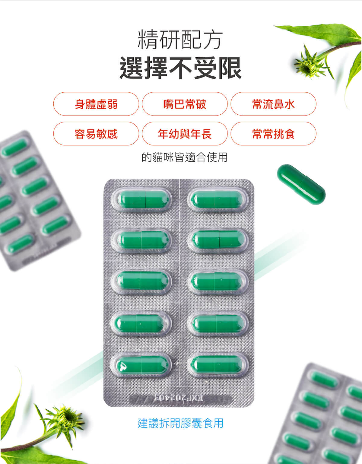 木入森 貓咪護疫升｜離胺酸等六大免疫配方