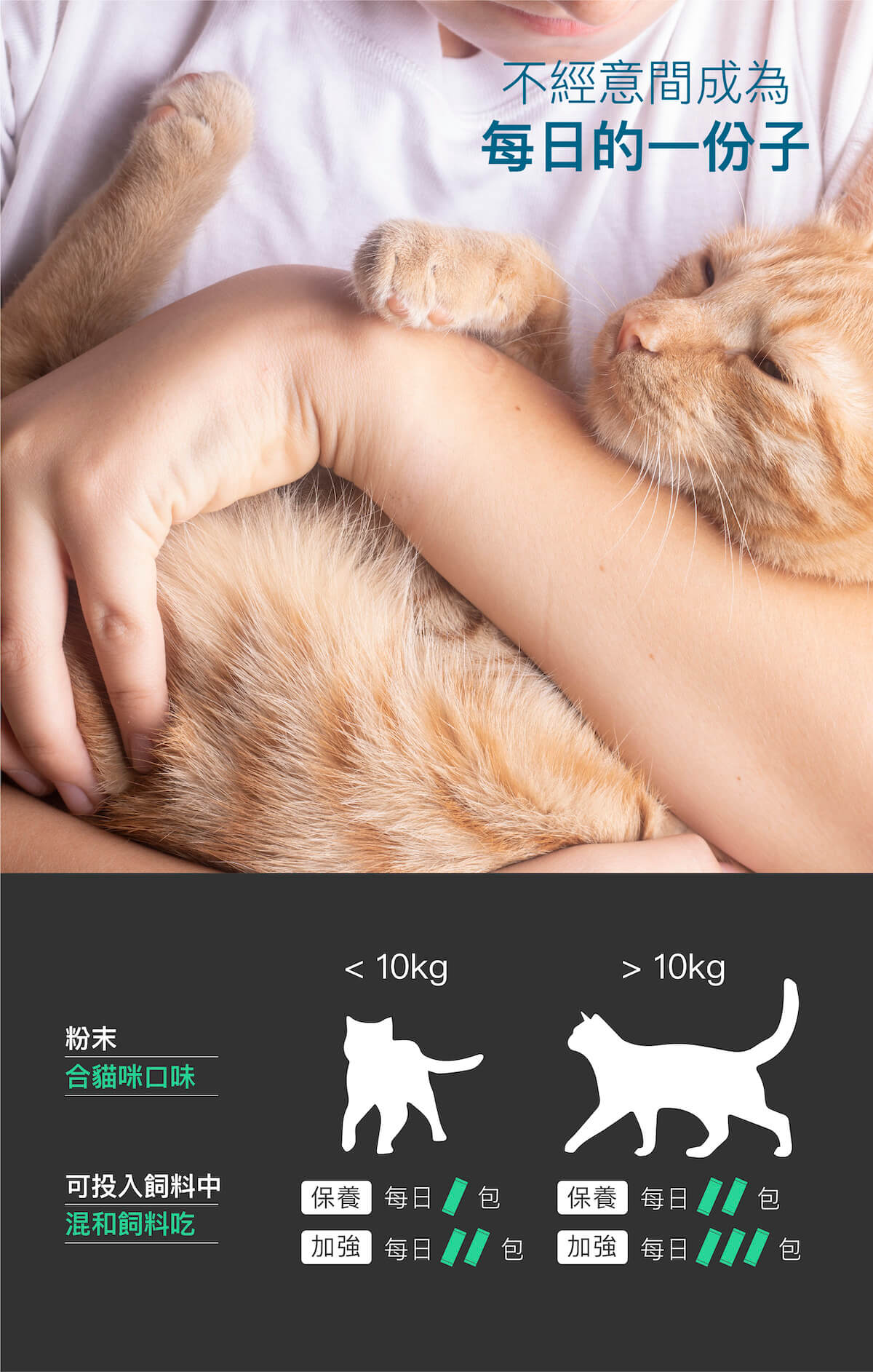 木入森 貓咪膚立好｜貓咪皮膚保健食品