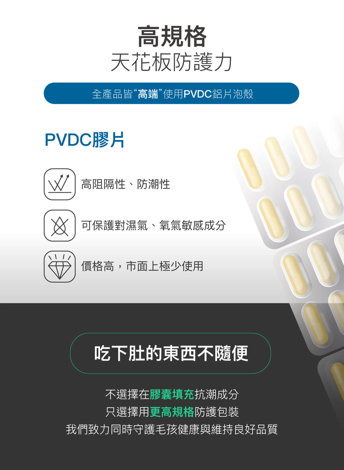 木入森 貓咪保腎利｜貓咪腎臟保健