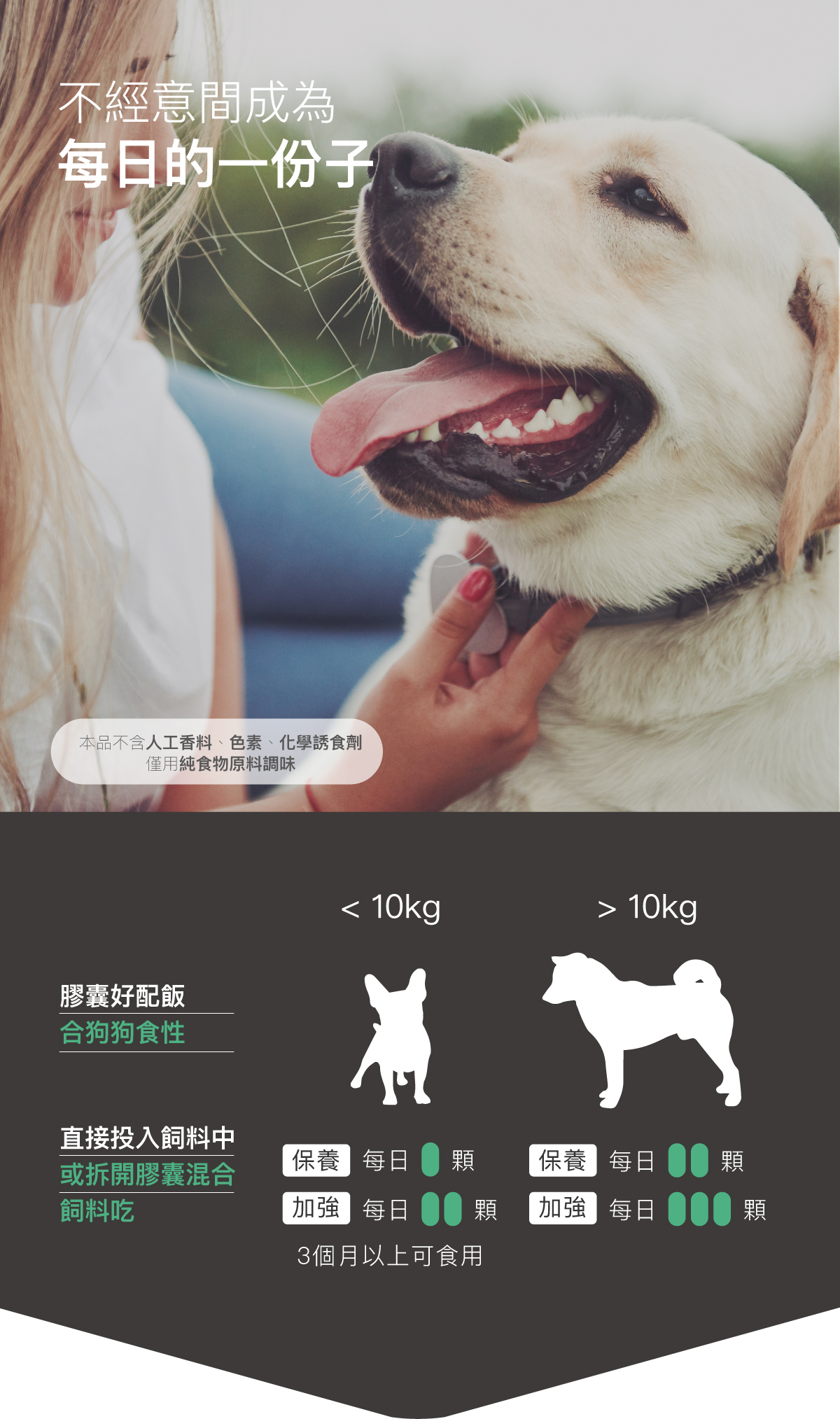 木入森 犬寶好眼力｜狗狗葉黃素_15