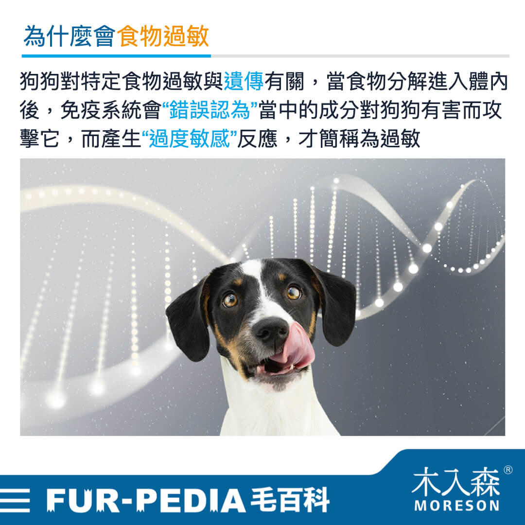宠物狗食物过敏：症状、机理、诱因和对策 - 知乎