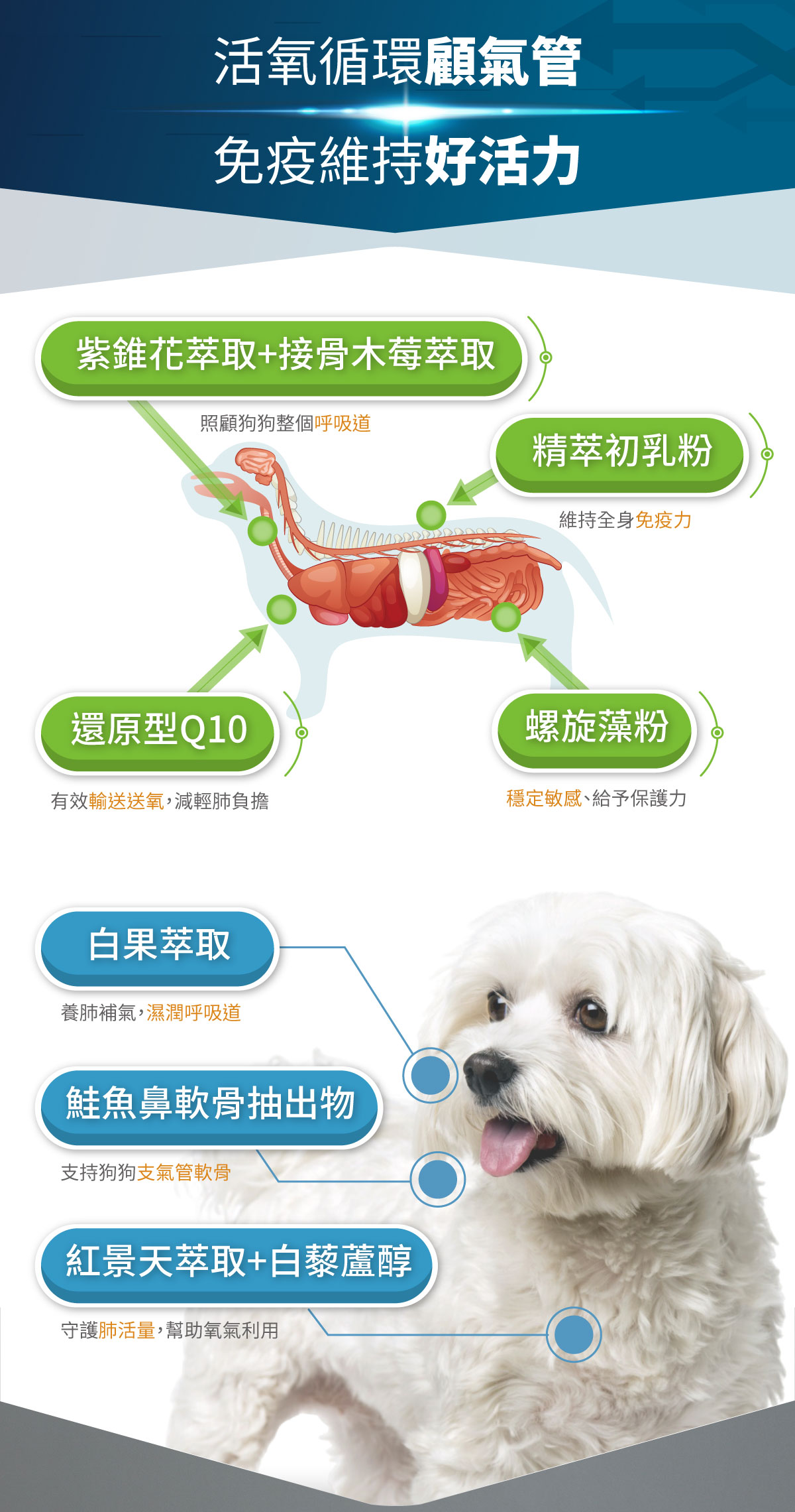 木入森 犬寶氣力升｜狗狗氣管保健食品_11