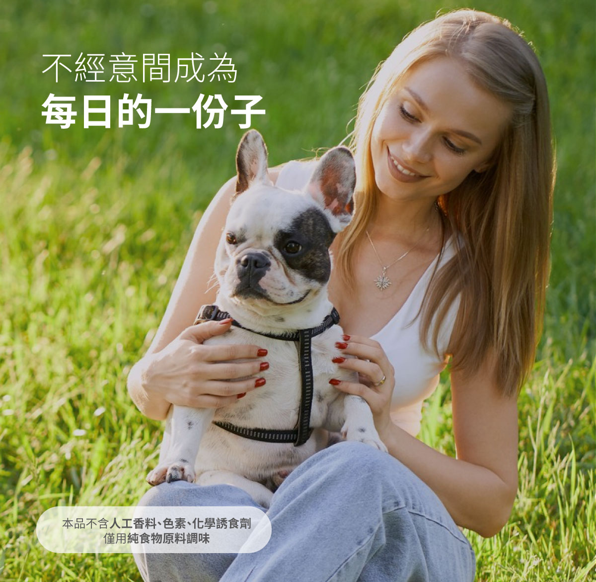 木入森 犬寶氣力升｜狗狗氣管保健食品_16