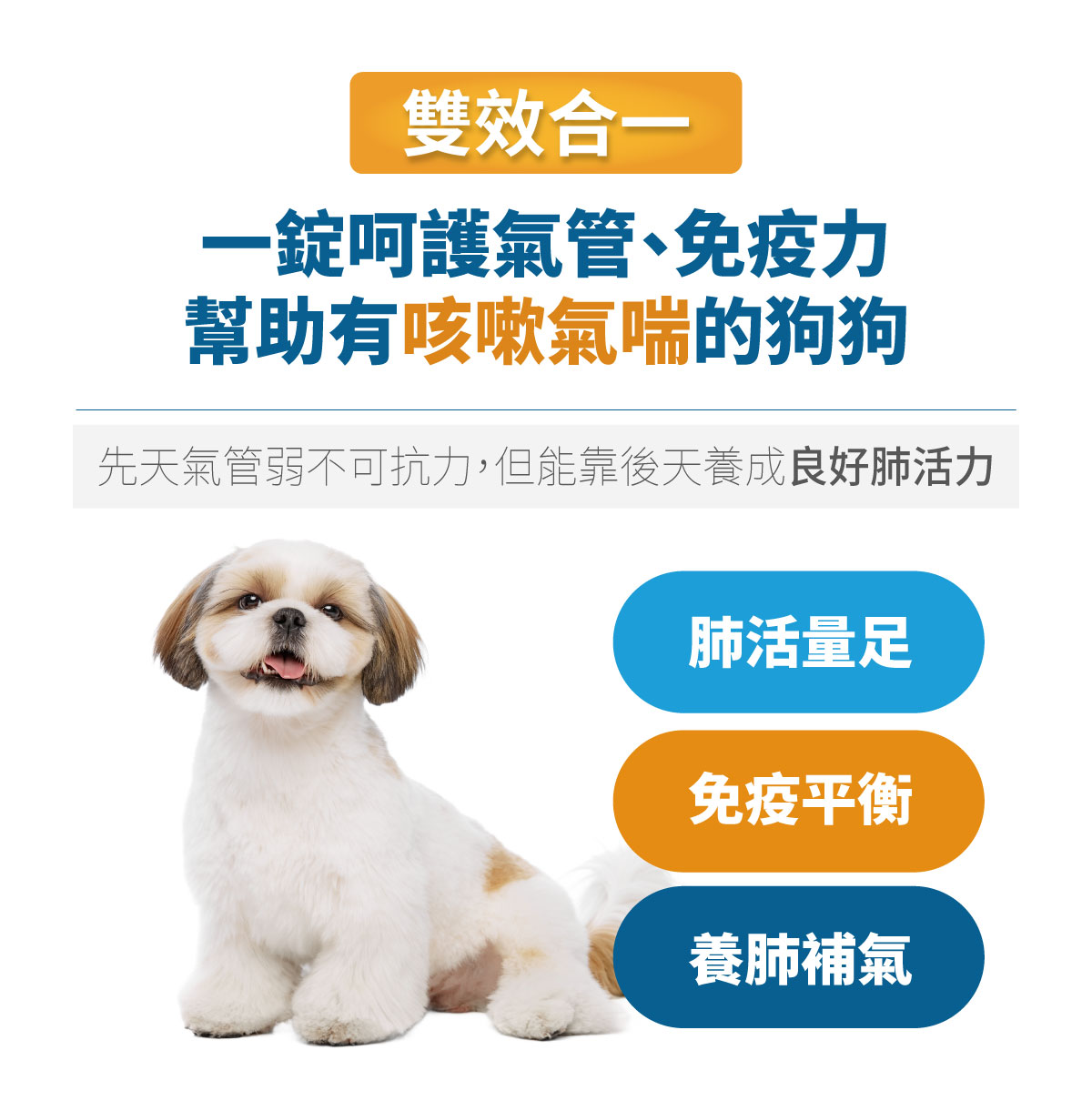 木入森 犬寶氣力升｜狗狗氣管保健食品_9