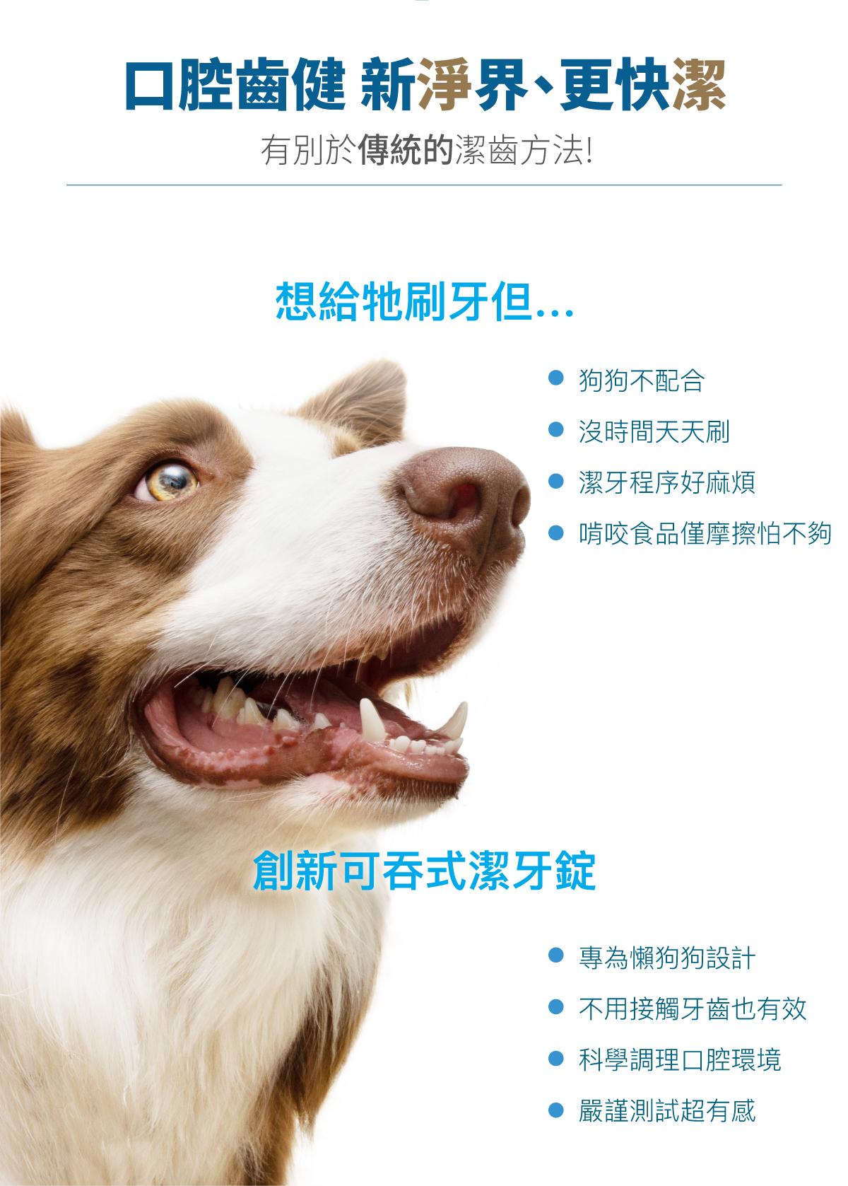 木入森 犬寶固齒麗潔牙錠｜科學狗狗潔牙骨_2