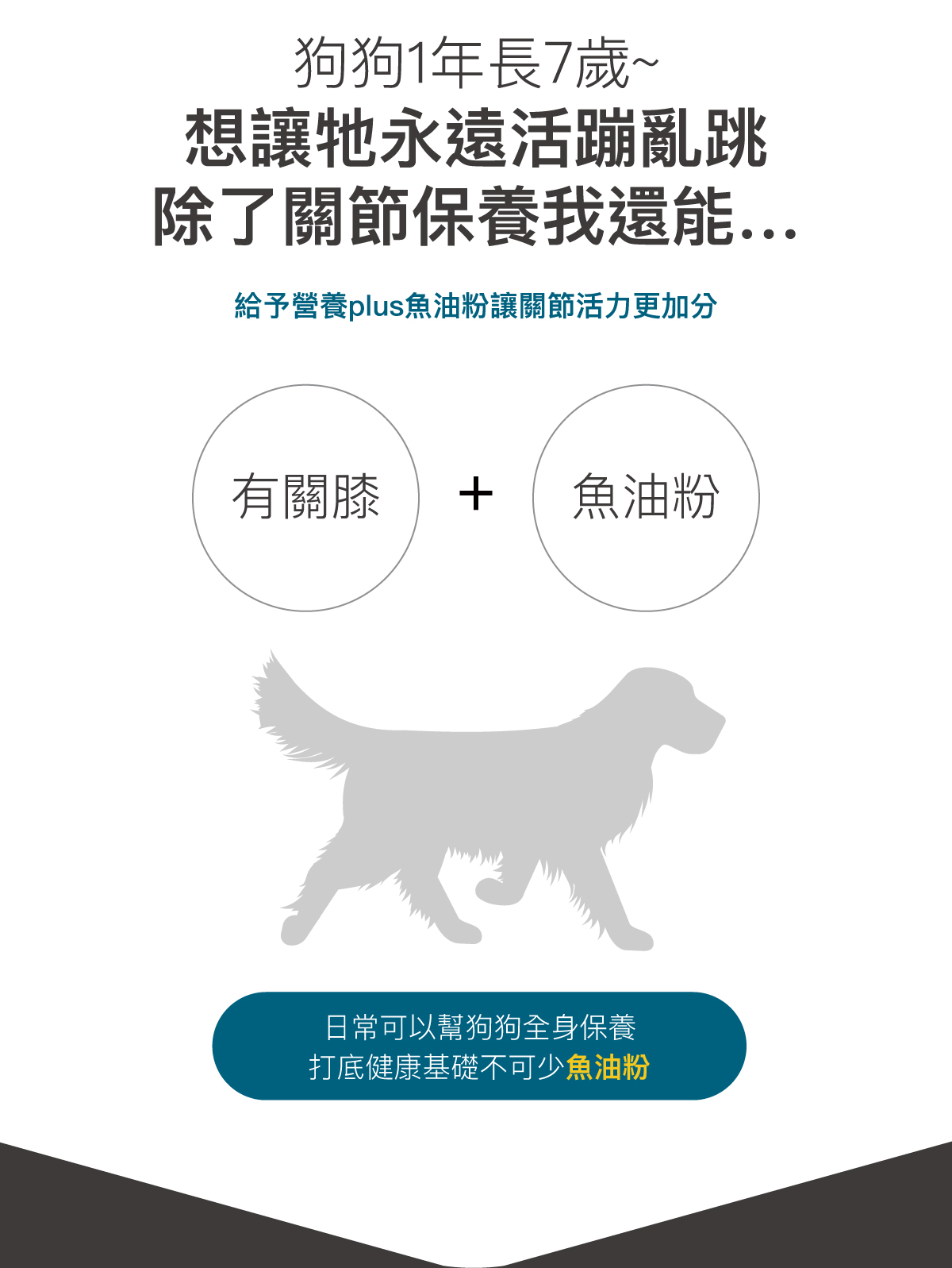 木入森 犬寶有關膝｜狗狗關節保健食品_15