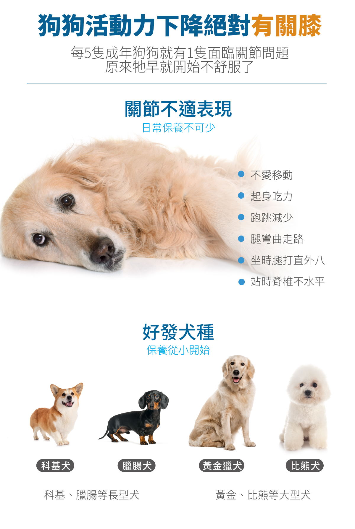 木入森 犬寶有關膝｜狗狗關節保健食品_2