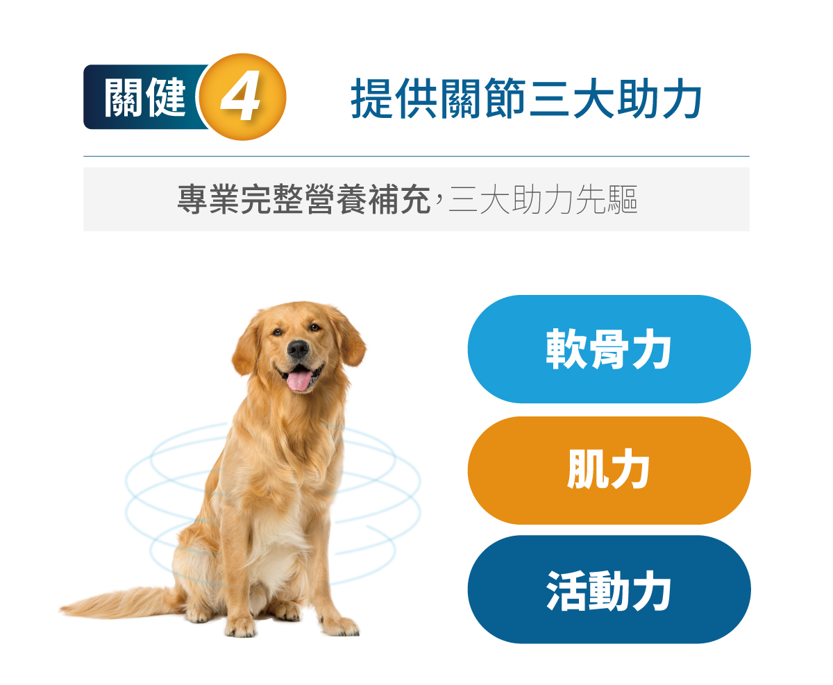 木入森 犬寶有關膝｜狗狗關節保健食品_9