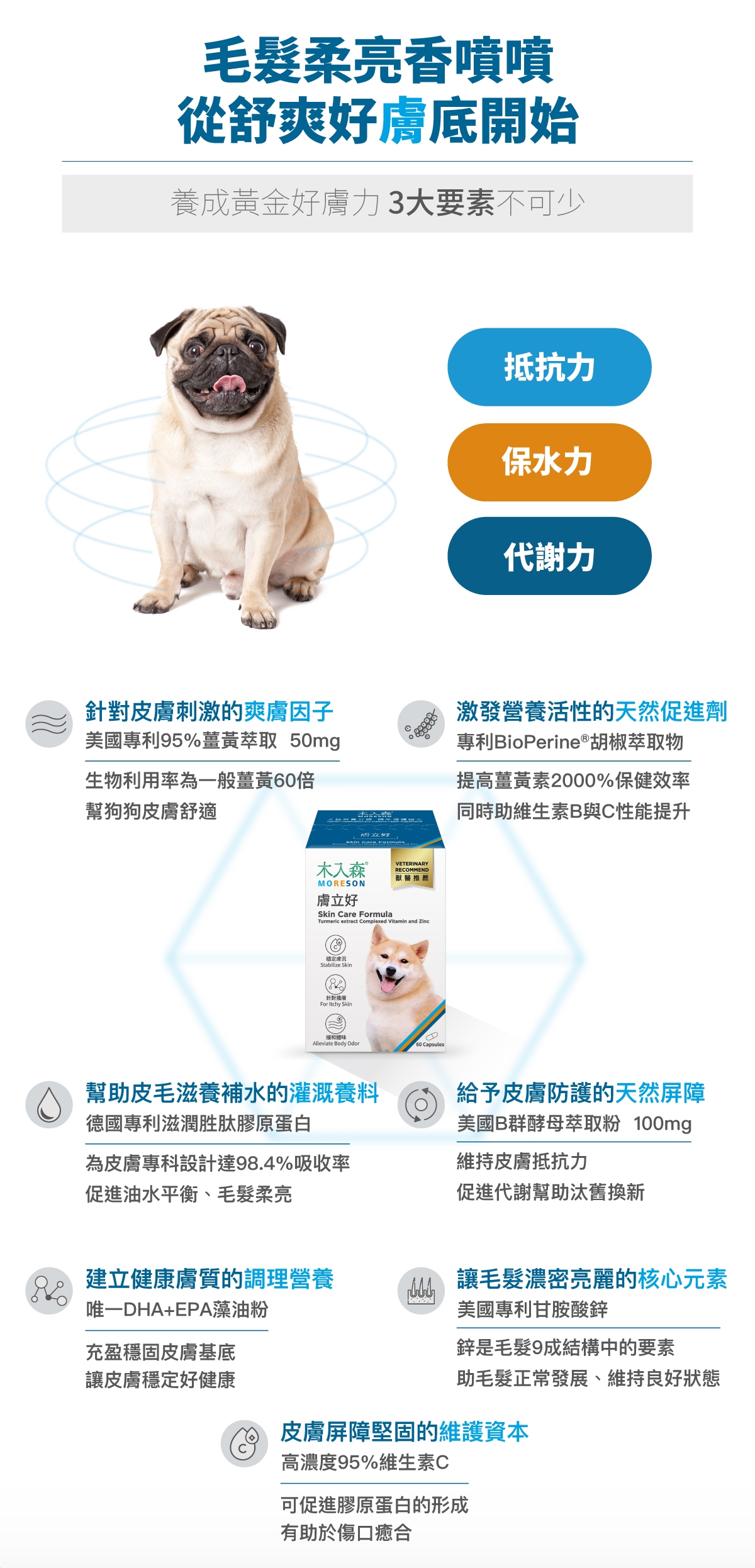 木入森 犬寶膚立好｜狗狗皮膚保健食品_7