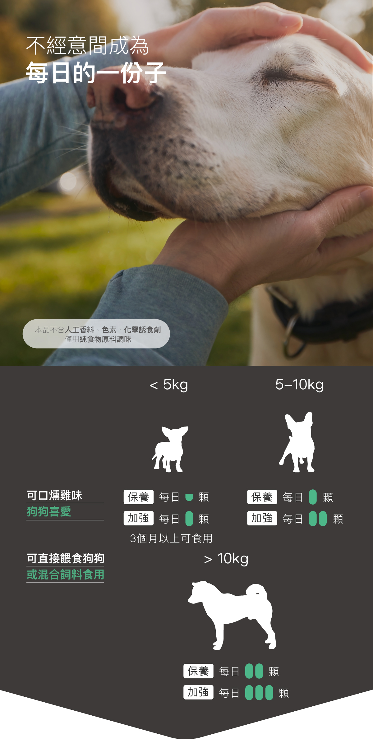 木入森 犬寶珍心動｜狗狗心臟保健食品_14