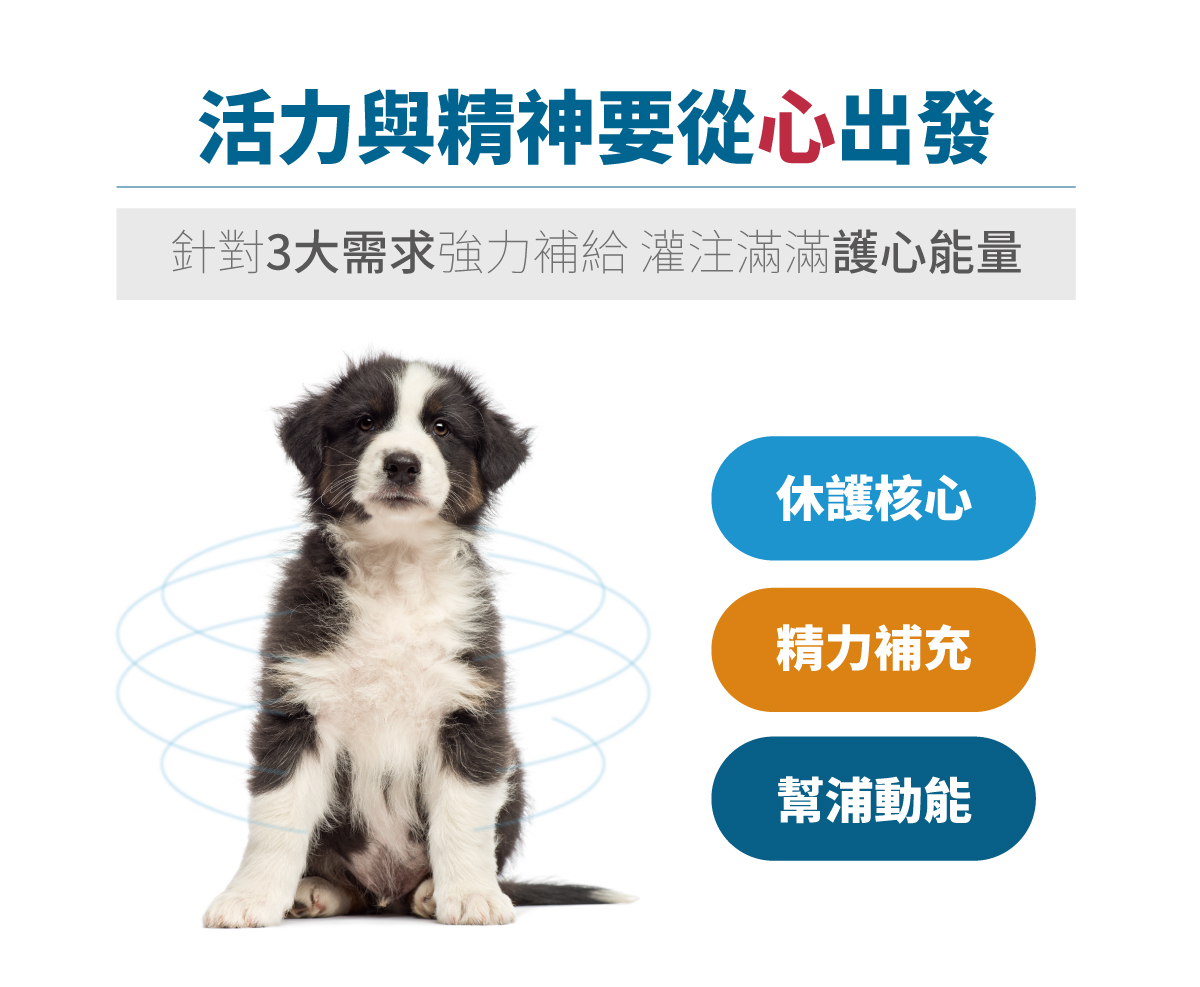 木入森 犬寶珍心動｜狗狗心臟保健食品_7